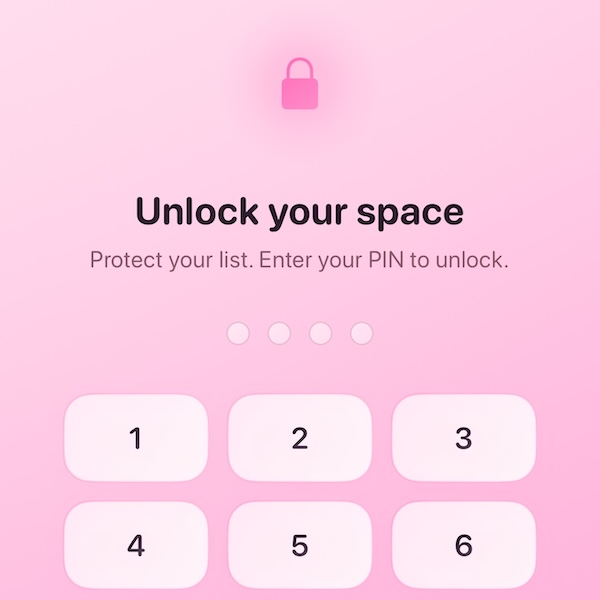 Friend Aura PIN lock screen showing security features and privacy protection
